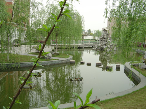 校园风光