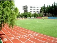 校园风采