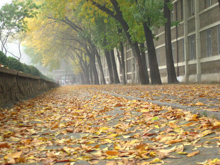 天大风光系列3——秋之绚丽